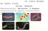 OS CINCO REINOS DE SERES VIVOS REINO MONERA Representantes: Bactérias e Arqueas Características gerais: Procariontes, unicelulares, podem ser heterotróficos(maioria)