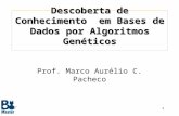 1 Descoberta de Conhecimento em Bases de Dados por Algoritmos Genéticos Prof. Marco Aurélio C. Pacheco.