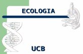 ECOLOGIA UCB. Ciclos Biogeoquímicos É a permuta cíclica de elementos químicos que ocorre entre os seres vivos e o ambiente. Todos os elementos químicos.
