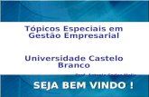 SEJA BEM VINDO ! Tópicos Especiais em Gestão Empresarial Universidade Castelo Branco Prof. Antonio Carlos Mello.
