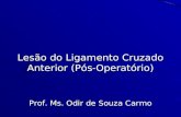 Lesão do Ligamento Cruzado Anterior (Pós-Operatório) Prof. Ms. Odir de Souza Carmo.