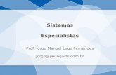 Sistemas Especialistas Prof. Jorge Manuel Lage Fernandes jorge@youngarts.com.br.