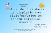 1 Estudo de duas doses de cisplatin com ciclofosfamido em cancro epitelial ovárico Jorge Beira Rita Malcata Mecanismos Gerais da Doença 2006/2007 15 de.
