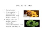 PROTISTAS Eucariontes. Protozoários – unicelulares, heterótrofos, com deslocamento. Algas – uni ou multicelulares, autótrofas fotossintetizantes, sem.