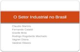Claudio Martins Fernando Cataldi Giselle Brito Rodrigo Rogoberto Machado Vagner Diana Valdinei Ribeiro O Setor Industrial no Brasil.
