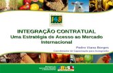 INTEGRAÇÃO CONTRATUAL Uma Estratégia de Acesso ao Mercado Internacional Pedro Viana Borges Coordenador de Capacitação para Autogestão.