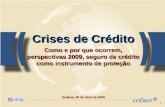 1 Crises de Crédito Como e por que ocorrem, perspectivas 2009, seguro de crédito como instrumento de proteção Goiânia, 30 de Abril de 2009.