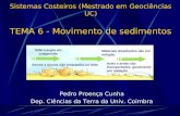Sistemas Costeiros (Mestrado em Geociências UC) TEMA 6 - Movimento de sedimentos Pedro Proença Cunha Dep. Ciências da Terra da Univ. Coimbra Silte e argila.