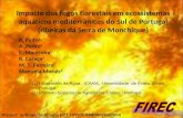 Impacte dos fogos florestais em ecossistemas aquáticos mediterrânicos do Sul de Portugal (ribeiras da Serra de Monchique) P. Pinto 1 A. Pedro 1 E. Mourinha.