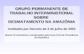 GRUPO PERMANENTE DE TRABALHO INTERMINISTERIAL SOBRE DESMATAMENTO NA AMAZÔNIA Instituído por Decreto de 3 de julho de 2003 Reúne 13 ministérios coordenados.