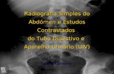 Radiografia Simples do Abdómen e Estudos Contrastados do Tubo Digestivo e Aparelho Urinário (UIV) Teresa Carvalho.