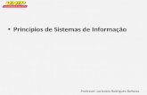 Professor: Lorivaldo Rodrigues Barbosa Princípios de Sistemas de Informação.