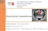 Perturbações Somatoformes Universidade de Trás-os-Montes e Alto Douro Licenciatura em Psicologia 3º ano, 1º semestre 2012/2013 Unidade Curricular: Psicopatologia.