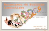 Mecanismos de Evolução Lamarckismo Jornal Evolucional Beatriz Nina, nº2 Daniela Araújo, nº4 Fig. 1 – Teoria da Evolução Agrupamento de Escolas de São João.