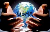 OSHA Santeira Maior OBA ADDA. Introdução Regras de Osha para Santeiros são um sistema de pautas que se deve praticar todos os iniciados em Osha, deve-se.
