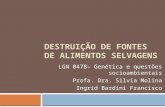 DESTRUIÇÃO DE FONTES DE ALIMENTOS SELVAGENS LGN 0478– Genética e questões socioambientais Profa. Dra. Silvia Molina Ingrid Bardini Francisco.