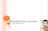 S EMENTES E F RUTOS Prof. Regis Romero. A NGIOSPERMA - F RUTO / SEMENTE O fruto é orgão exclusivo das angiospermas. Origina-se do desenvolvimento do ovário.