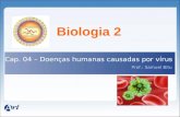 Biologia 2 Cap. 04 – Doenças humanas causadas por vírus I Prof.: Samuel Bitu.