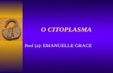 O CITOPLASMA Prof (a): EMANUELLE GRACE. SUMÁRIO Organização geral do citoplasma O citoplasma das células procarióticas O citoplasma das células eucarióticas.