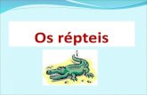 Significado do nome A classe Reptilia (do latim reptum = rastejar) Esse nome se dá pelo fato desses animais se rastejarem no solo.