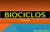 BIOCICLOS Prof.:Regis Romero Ecologia. NÃO CONFUNDA!!! Biociclos Ciclos Biogeoquímicos x ÁGUA CARBONO OXIGÊNIO NITROGÊNIO FÓSFORO CÁLCIO ÁGUA SALGADA.
