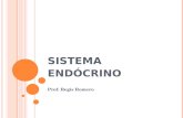 SISTEMA ENDÓCRINO Prof. Regis Romero SISTEMA ENDÓCRINO O sistema endócrino é formado pelo conjunto de glândulas endócrinas,as quais são responsáveis.