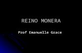 REINO MONERA Prof Emanuelle Grace. REINO MONERA - do grego moneres, "solitário Parede celular ribossomos.