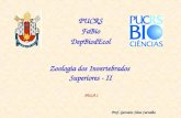 Zoologia dos Invertebrados Superiores - II PUCRS FaBio DepBiodEcol Prof. Gervásio Silva Carvalho AULA 1.