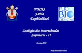 Zoologia dos Invertebrados Superiores - II PUCRS FaBio DepBiodEcol Profa. Betina Blochtein 08.março.2006.
