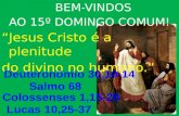 BEM-VINDOS AO 15º DOMINGO COMUM! Jesus Cristo é a plenitude do divino no humano.