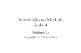 Introdução ao MatLab Aula 4 Multimédia Engenharia Biomédica.