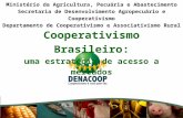 Cooperativismo Brasileiro: uma estratégia de acesso a mercados Ministério da Agricultura, Pecuária e Abastecimento Secretaria de Desenvolvimento Agropecuário.