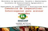 Consórcio de Cooperativas: Intercooperar para acessar mercados Ministério da Agricultura, Pecuária e Abastecimento Secretaria de Desenvolvimento Agropecuário.