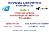1 Ignez Caracelli BioMat – DF – UNESP/Bauru Bauru, 17 de agosto de 2009. Aula 1 Introdução ao Curso Representação das Moléculas Aminoácidos Aminoácidos.