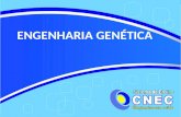 ENGENHARIA GENÉTICA. FERRAMENTAS Enzimas: de restrição, DNA-ligase, DNA-polimerase, transcriptase Vetores: plasmídeos, vírus.