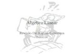 Álgebra Linear Revisão De Alguns Conceitos Básicos.