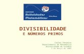 DIVISIBILIDADE E NÚMEROS PRIMOS Carlos Tenreiro Departamento de Matemática Universidade de Coimbra 5 de Março de 2005.