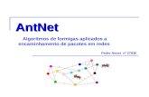 AntNet Pedro Neves nº 27836 Algoritmos de formigas aplicados a encaminhamento de pacotes em redes.