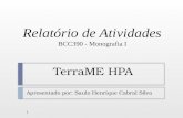 TerraME HPA Apresentado por: Saulo Henrique Cabral Silva 1 Relatório de Atividades BCC390 - Monografia I.