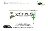 RÉPTEIS (Reptare, reptum=Rastejar) Disciplina: Biologia 2ª série do Ensino Médio Professora: Roberta Fontoura.