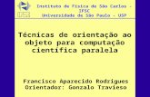 Instituto de Física de São Carlos - IFSC Universidade de São Paulo - USP Francisco Aparecido Rodrigues Orientador: Gonzalo Travieso Técnicas de orientação.