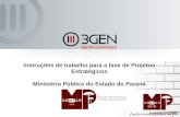 Instruções de trabalho para a fase de Projetos Estratégicos Ministério Público do Estado do Paraná setembro/2009.