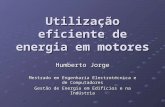 Utilização eficiente de energia em motores Humberto Jorge Mestrado em Engenharia Electrotécnica e de Computadores Gestão de Energia em Edifícios e na Indústria.