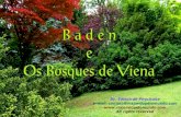 Baden, pequena e graciosa, localizada ao sul de Viena, é um dos pontos turísticos mais visitados da Áustria...