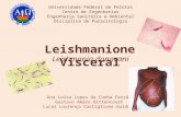 Universidade Federal de Pelotas Centro de Engenharias Engenharia Sanitária e Ambiental Disciplina de Parasitologia Leishmanione Visceral Leishmania donovani.