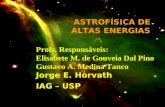 ASTROFÍSICA DE ALTAS ENERGIAS Profs. Responsáveis: Elisabete M. de Gouveia Dal Pino Gustavo A. Medina Tanco Jorge E. Horvath IAG – USP.