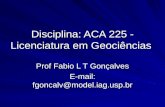 Disciplina: ACA 225 - Licenciatura em Geociências Prof Fabio L T Gonçalves E-mail: fgoncalv@model.iag.usp.br.