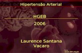 Fonte:  Hipertensão Arterial HGEB 2006 Laurence Santana Vacaro.
