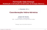 - 1 - Sessão #5 | 18 Maio 2010 :: :: :: Sessão #5 :: Coordenação hidro-térmica Jorge de Sousa Professor Coordenador ISEL - Instituto Superior de Engenharia.