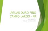 ÁGUAS OURO FINO CAMPO LARGO - PR AULA DE CAMPO – PROF. LUÍS ROBERTO HALAMA.